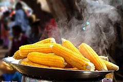 Maïs
Voici 5 merveilleux avantages pour la santé de manger cette plante
Maïs
Voici 5 merveilleux avantages pour la santé de manger cette plante