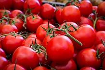 Tomates
Les bienfaits de cette plante sur la santé vont vous surprendre
