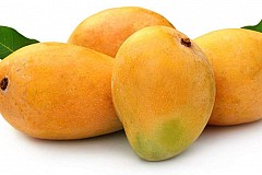 Mangue
Les avantages pour la santé de ce fruit sont extraordinaires
Mangue
Les avantages pour la santé de ce fruit sont extraordinaires