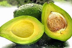 Poire avocat
Les avantages pour la santé de ce fruit sont inestimables
