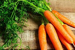 Carotte
Les avantages pour la santé de ces fruits sont extraordinaires
Carotte
Les avantages pour la santé de ces fruits sont extraordinaires
