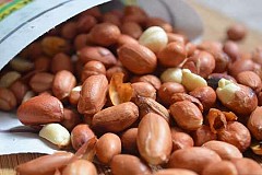Arachide
Les bienfaits de la cacahuète pour la santé vont vous surprendre
