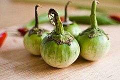 Oeuf de jardin
Les avantages pour la santé de cette plante sont incroyables
