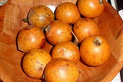 Les avantages pour la santé de la pomme étoile africaine sont merveilleux Les avantages pour la santé de la pomme étoile africaine sont merveilleux