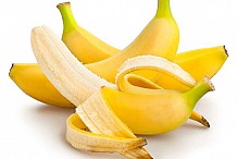 Banane
7 bienfaits santé inimaginables de ce fruit
