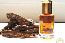 Parfum
Tout ce que vous devez savoir sur Oud
