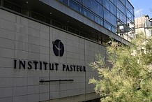 Des chercheurs de l’Institut Pasteur réussissent à détruire des cellules infectées par le VIH/Sida