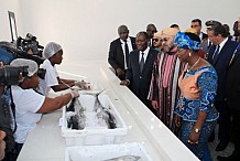Débarquement de poissons : Ouattara veut fermer Abobodoumé