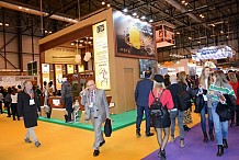 Tourisme - FITUR 2019: la destination ivoirienne émerveille les professionnels du tourisme mondial