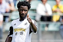 Football : Wilfried Bony quitte Swansea pour le Qatar