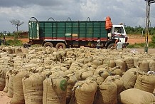 Un syndicat de producteurs de cacao suspend son mot d’ordre de grève