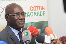 La campagne cajou officiellement lancée en Côte d'Ivoire avec 800 000 tonnes visées en 2019