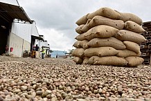 Une convention signée pour l’achat de 200.000 t de noix de cajou origine Côte d’Ivoire