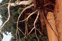 Duékoué : Une tornade détruit écoles, hôpital, brigade de gendarmerie et autres services, le maire appelle le gouvernement au secours