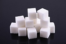Une société sucrière vise une production annuelle de 125 000 tonnes d’ici à 2023