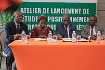 Côte d’Ivoire: lancement d’une étude de positionnement stratégique des filières ananas et mangue