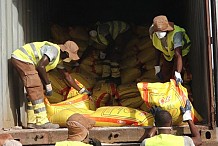 Affaire riz avarié : l’exportateur assigne l’Etat ivoirien en justice