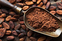 Cacao ivoirien: vers un prix rémunérateur aux paysans d’au moins 70% du prix CAF