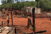 Couvert forestier ivoirien: La nouvelle formule du gouvernement pour sauver les forêts classées
