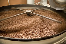 Côte d’Ivoire : Cargill investit 110 millions d’euros dans l’extension de son usine de broyage de cacao