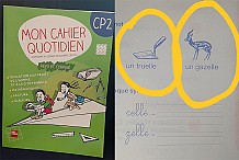 Erreurs dans ‘’Mon cahier quotidien’’ de CP1 et CP2 : les éditions NEI-CEDA présentent leurs excuses et promettent des corrections