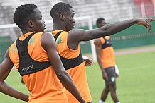 Match Côte d'Ivoire-Niger: Accès gratuit du stade pour célébrer la retraite internationale de Serey Dié et la journée de la paix