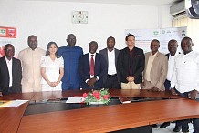 Abidjan abrite en février 2020 un symposium mondial sur le cajou