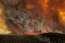 L'Australie s'intoxique avec les fumées de feux de forêts géants