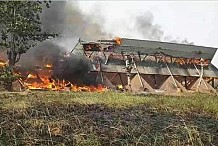 Un incendie consume le gymnase du Lycée scientifique de Yamoussoukro