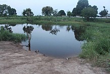 Kani : Un paysan meurt par noyade dans un étang