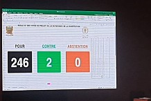 Le Parlement adopte la constitution ivoirienne modifiée