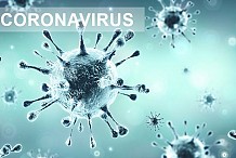 Evolution du coronavirus en Afrique