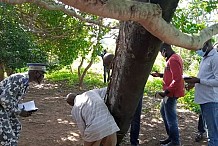 Débris géants tombés du ciel en Côte d'Ivoire: l'enquête est en cours