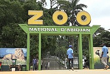 Affaire maltraitance d’animaux au zoo d’Abidjan : «c’est faux et fallacieux» (Richard Donwahi)