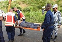 Un arbre scié par des individus s’abat sur un mini-car et fait 7 morts