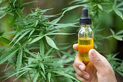 Cannabis et CBD dans les produits cosmétiques : quels sont les réels bienfaits ? 