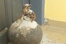 Sorcellerie : un canari de sang avec un oiseau mort  déposé devant le bureau d'un principal dans une école