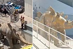 Un enfant découvre un cadavre dans un dinosaure en carton Un enfant découvre un cadavre dans un dinosaure en carton