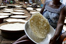 Côte d’Ivoire : comment l’attiéké peut conquérir les fast-foods du monde entier