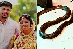Inde: il écope d’une double peine de prison à vie pour avoir tué sa femme avec un cobra