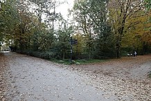 Hambourg : une adolescente de 15 ans ivre violée par 11 hommes dans un parc