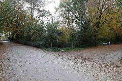 Hambourg : une adolescente de 15 ans ivre violée par 11 hommes dans un parc Hambourg : une adolescente de 15 ans ivre violée par 11 hommes dans un parc