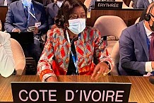 La Côte d'Ivoire a pris part au vote du DG de l'Unesco (officiel)