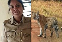 Une femme de 46 ans meurt dévorée par un tigre