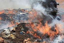 Incinération de 10 tonnes de produits prohibés à Yamoussoukro