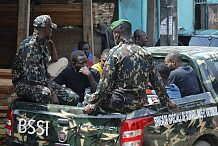 Trafic de bois: 11 individus interpellés après la saisie de 6000 madriers à Abidjan