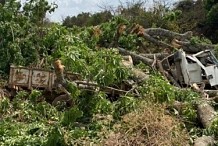 Un fromager abattu s’écrase sur un véhicule et fait un mort à Gogoba 