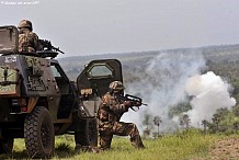 Un gardien de bœufs tué lors d'un exercice de militaires français