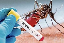Attention, Epidémie de dengue à Abidjan : onze cas, dont un mort
