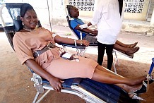 L’Etat ivoirien veut collecter 22.000 poches de sang/mois